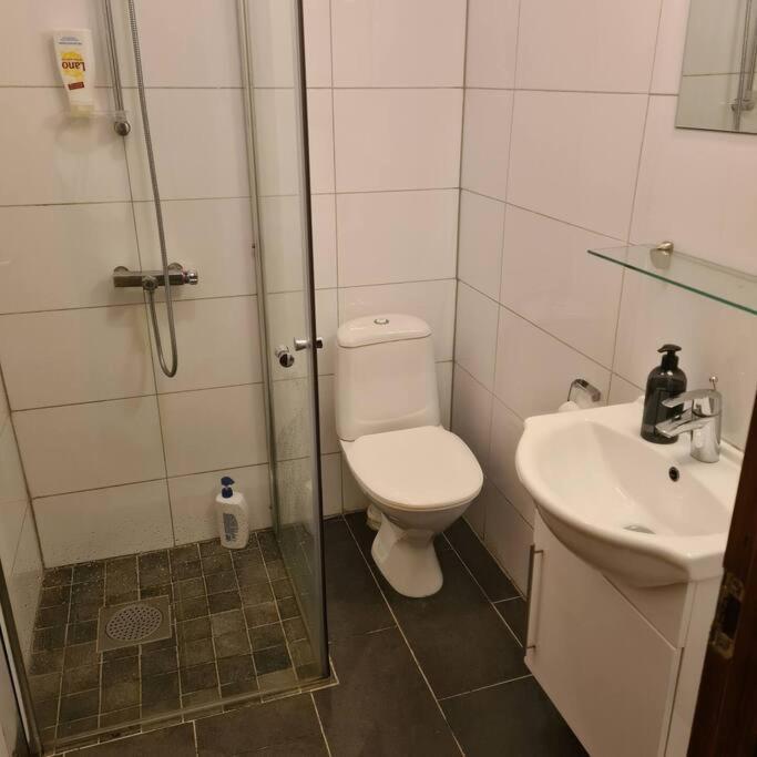 Lake View Apartment, Oldedalen سترين المظهر الخارجي الصورة